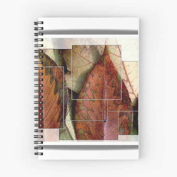 Item preview, Segmented Autumn designed and sold by Rene Crystal.