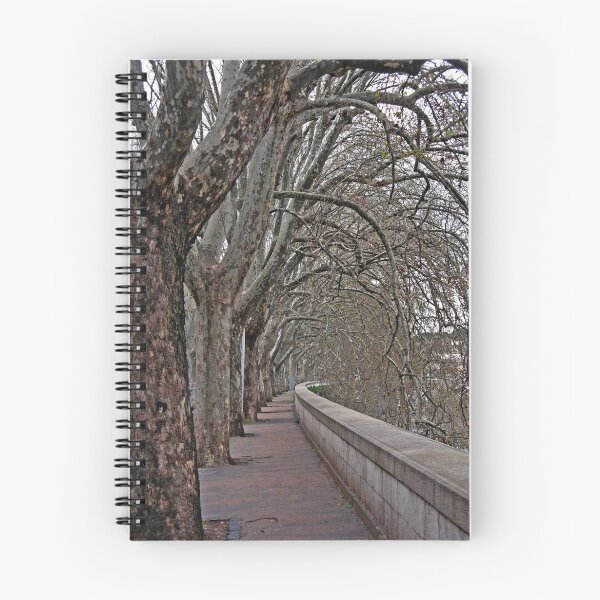 Item preview, Rome, Italy (along the Tiber) designed and sold by Trine.