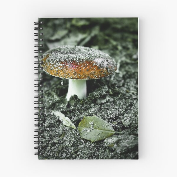 Item preview, Sandy Mushroom designed and sold by LeeAnne Emrick.