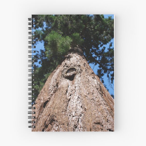 Item preview, Groombridge Place Pine Tree designed and sold by petegrev.