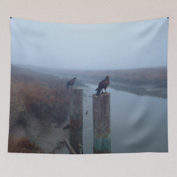 Item preview, A Pair of Falconer's Harris's Hawks Hunting During a Falconry Hunt in the Wetlands of California  designed and sold by Robert Diebold.