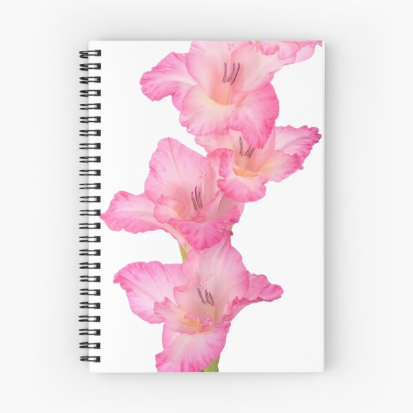 Aperçu de l'œuvre gladiolus créée et vendue par ralph.