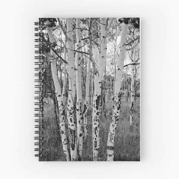 Item preview, Colorado Aspens designed and sold by Gary Lengyel.