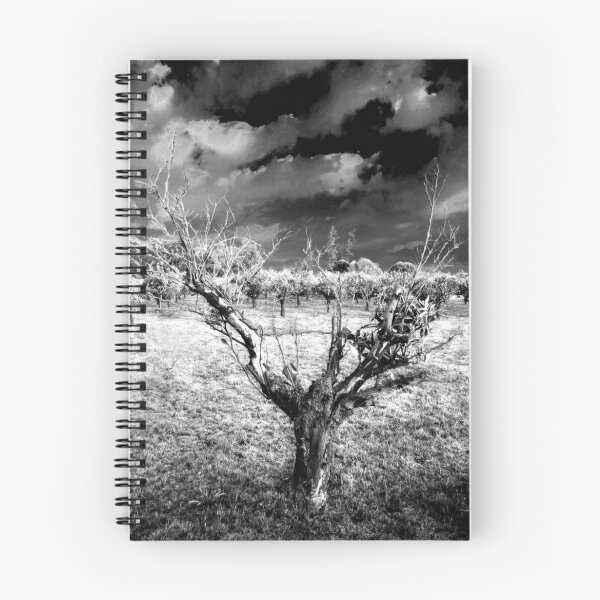 Item preview, Orange Grove designed and sold by Nicole Shea.