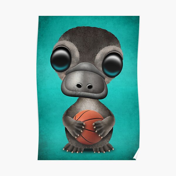 Cute Baby Platypus Playing With Basketball Poster By Jeffbartels Redbubble