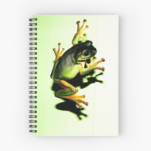 Item preview, Green tree frog sliding down our window designed and sold by robmac.