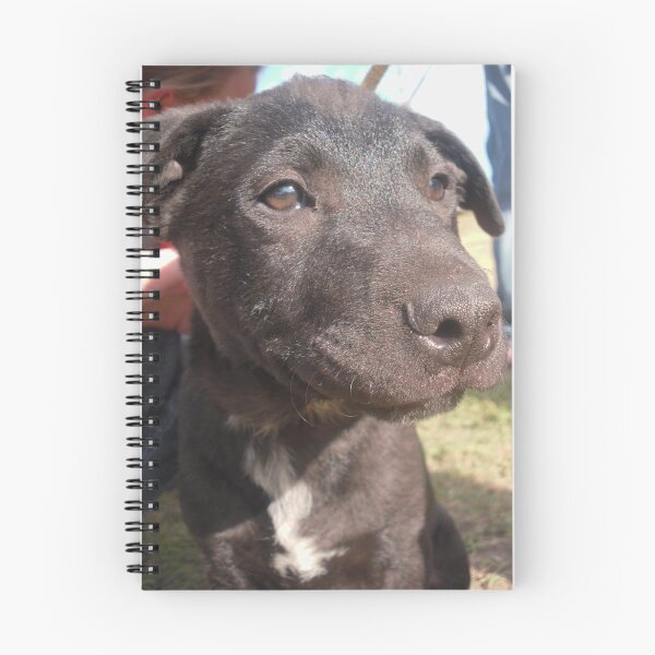 Item preview, Playful Pup designed and sold by Tam Edey.