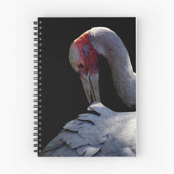 Item preview, Preening Brolga designed and sold by Tamara  Kenneally.