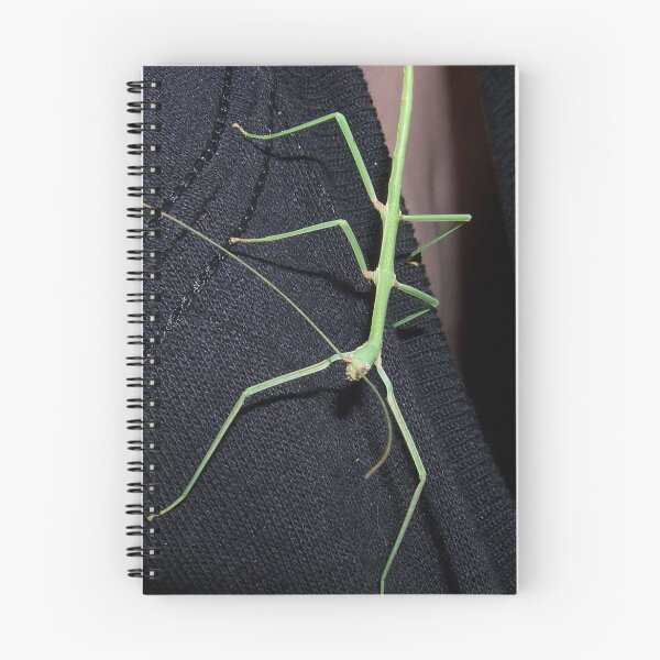 Artikelvorschau, green walking stick entworfen und verkauft von gabbielizzie.