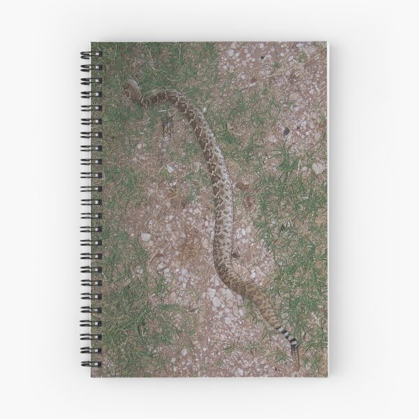 Item preview, western diamond back rattlesnake designed and sold by gabbielizzie.