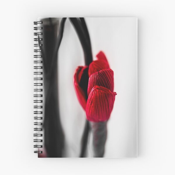 Item preview.
