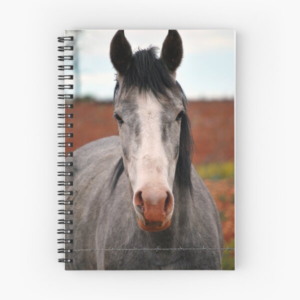 Item preview, Grey Filly designed and sold by Coolibah.