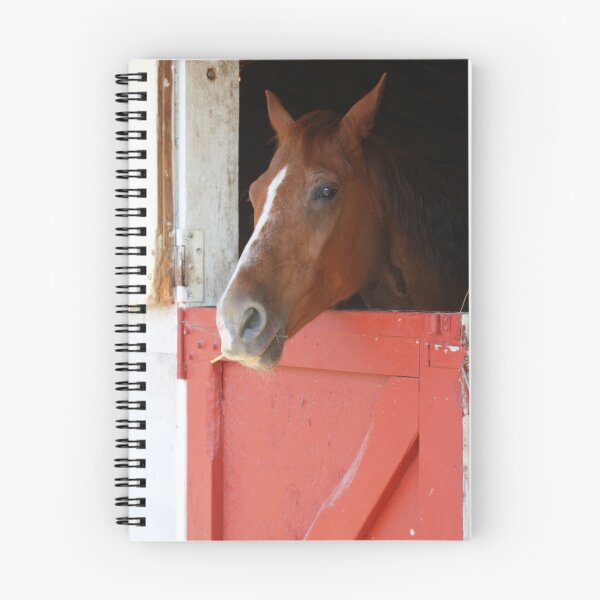 Item preview, Stable time designed and sold by Debbie Roelle.