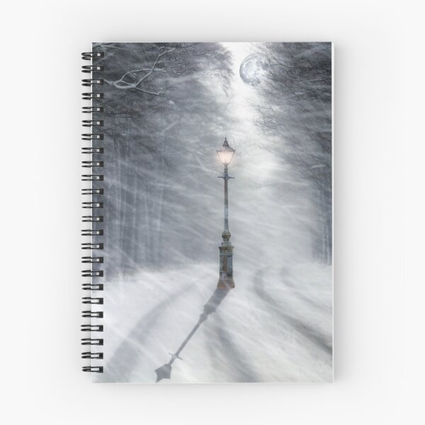 Item preview, This Way to Narnia 2016 designed and sold by Cat Perkinton.