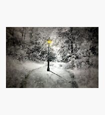This way to Narnia Photographic Print
