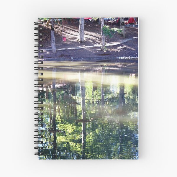 Item preview, Reflective Solace designed and sold by Giro Tavitian.