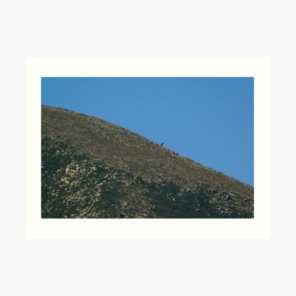 Mt. Katahdin- Moon like Art Print