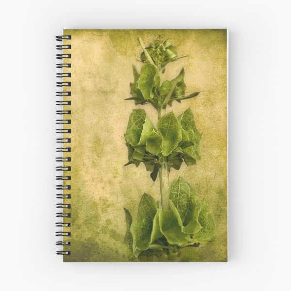 Item preview, Standing Tall and Proud designed and sold by pat gamwell.