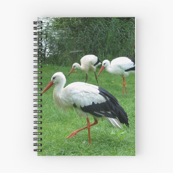 Item preview, The White Storks designed and sold by ienemien.