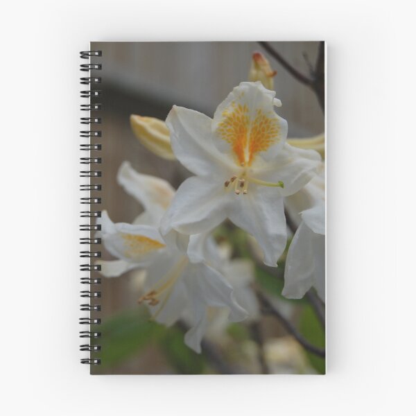 Item preview, Azalea in my Garden designed and sold by JulesPH.