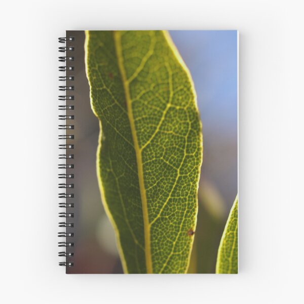 Item preview, Bay Leaf designed and sold by Tom McDonnell.