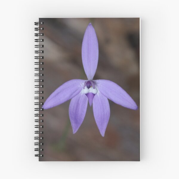 Item preview, Wax Lip Orchid designed and sold by Andrew Trevor-Jones.
