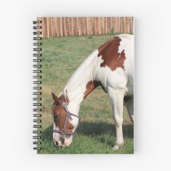 Item preview, Grazing Pinto designed and sold by Alyce Taylor.