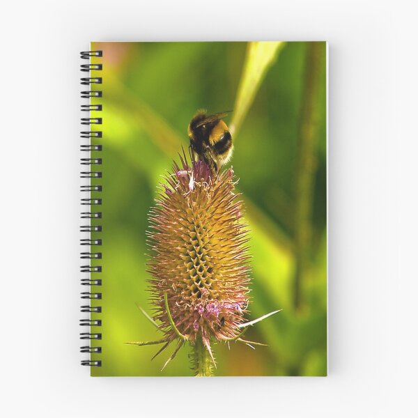 Item preview, Foraging Bee designed and sold by Trevor Kersley.