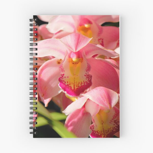 Item preview, Pink Orchid  designed and sold by Charuhas  Images.