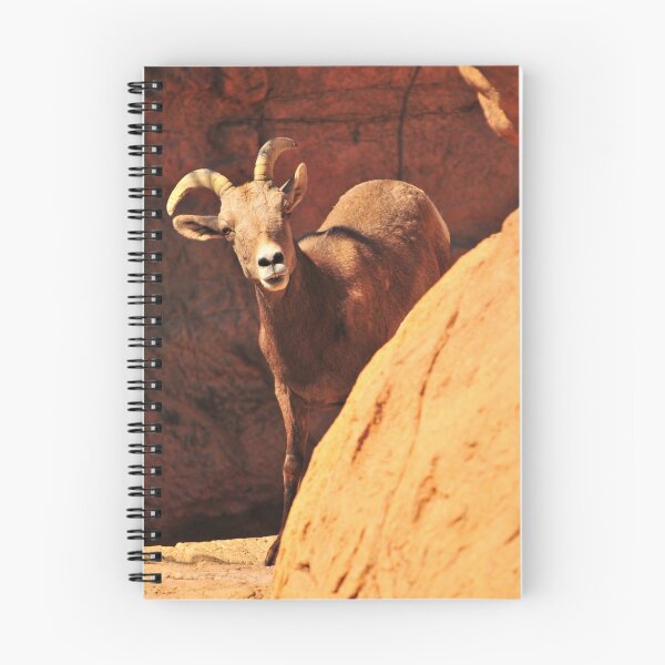 Item preview, Big Horned Sheep  designed and sold by Conor Quinlan.