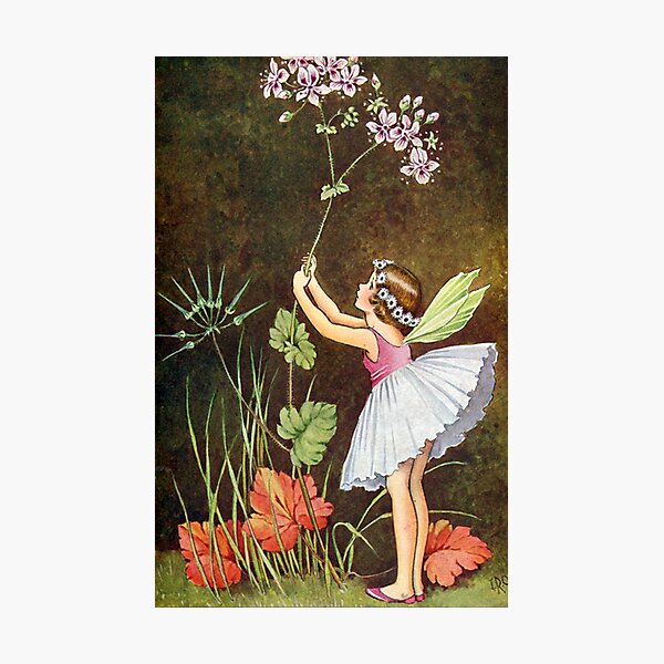 Item preview, Flower Fairy - Ida Rentoul Outhwaite designed and sold by forgottenbeauty.