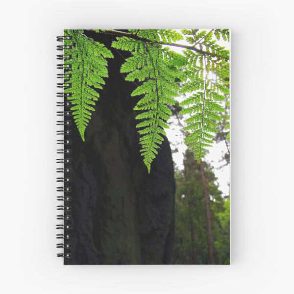 Artikelvorschau, Fronds of Ferns entworfen und verkauft von RozyDee.