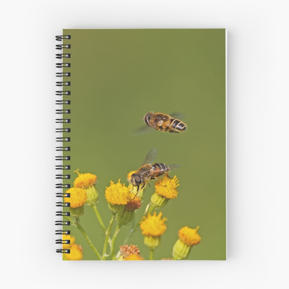 Item preview, Spiral Notebook designed and sold by Hawker.