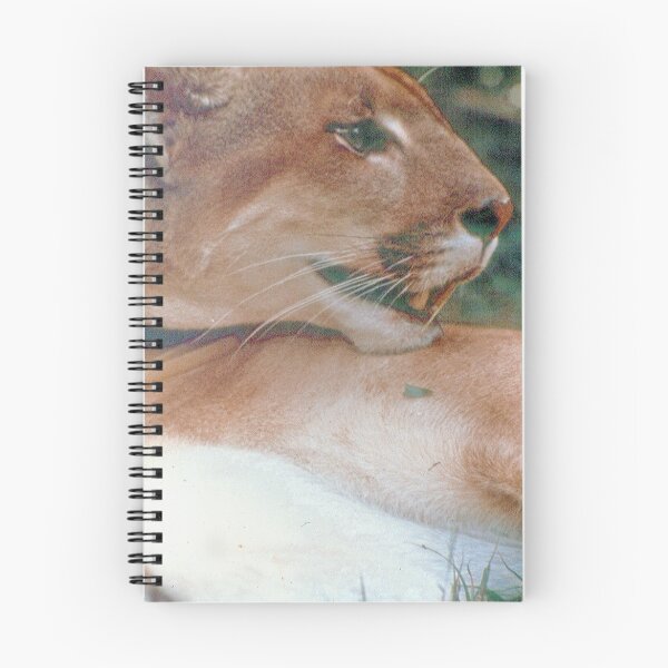Artikelvorschau, Puma entworfen und verkauft von Larry Grayam.