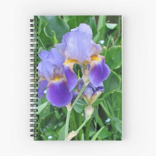 Item preview, Purple Bearded Iris (185 Views) designed and sold by plunder.