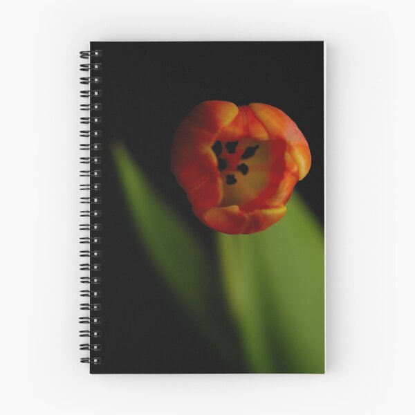 Item preview, Draw me a tulip designed and sold by Skye24Blue.