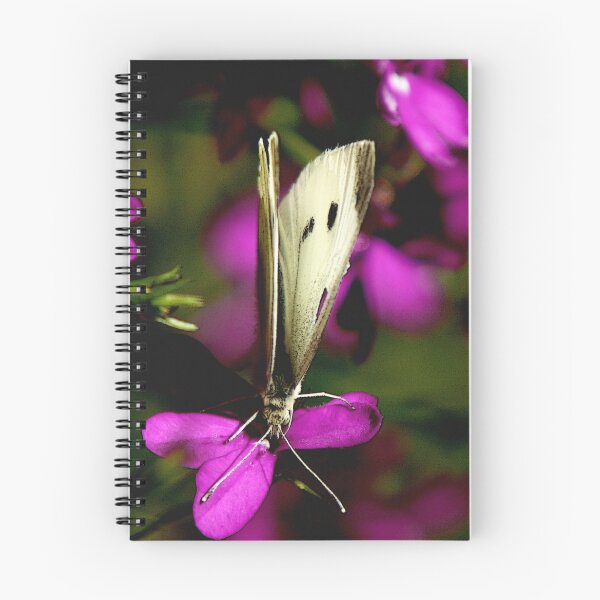 Item preview, Landing On Purple (Special Effects) designed and sold by DigitallyStill.