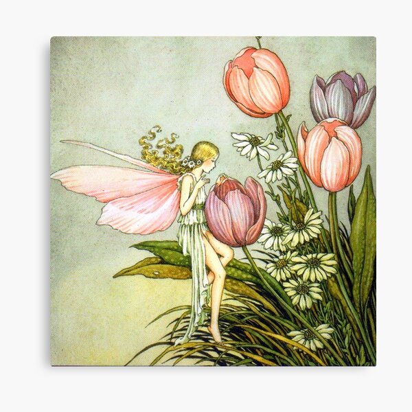 Tending the Tulips - Ida Rentoul Outhwaite Canvas Print