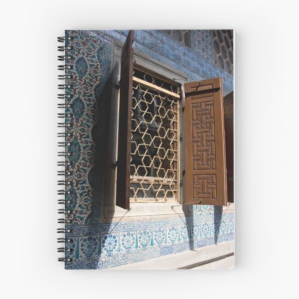 Aperçu de l'œuvre Star Grate Window créée et vendue par phil decocco.