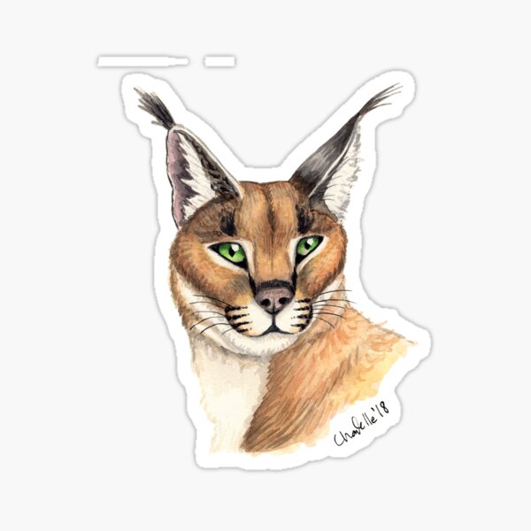 Caracal Merch & Gifts for Sale | Redbubble