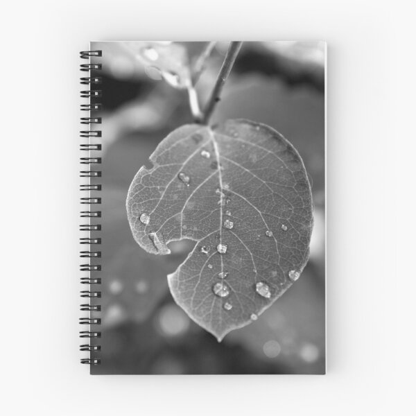 Item preview, Roll down designed and sold by Tanja Katharina Klesse.