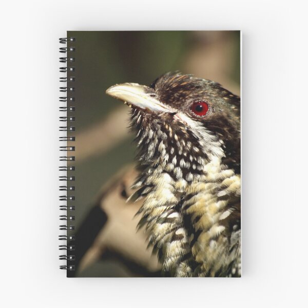 Item preview, Bassian Thrush designed and sold by Tamara  Kenneally.