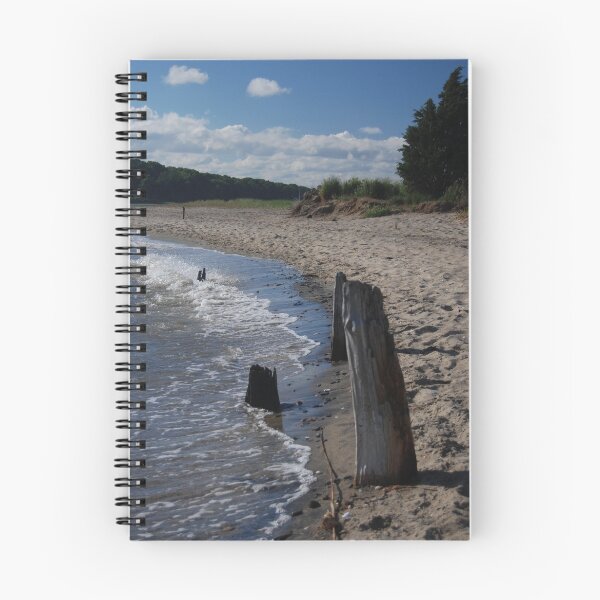 Artikelvorschau, Beachwood Along The Shore entworfen und verkauft von Mystic Image Studio.