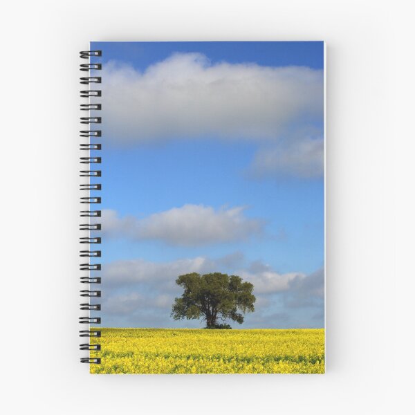 Item preview, Canola field at Griffith designed and sold by Darren Stones.