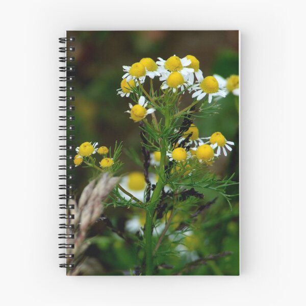 Item preview, Camomile designed and sold by TriciaDanby.