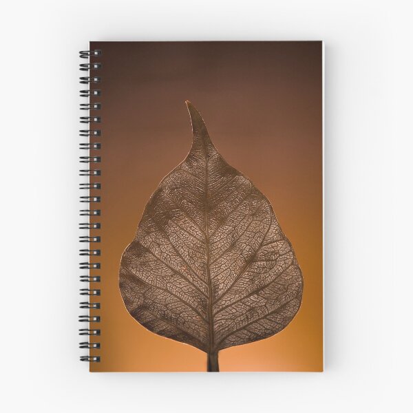 Artikelvorschau, The Sacred Fig entworfen und verkauft von Vikram Franklin.