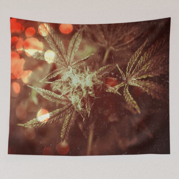 Item preview, Spark of Imagination designed and sold by PhrozenPhotos.