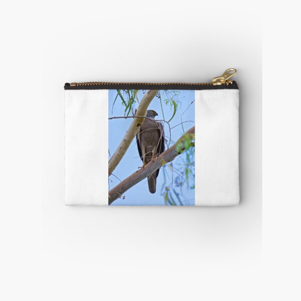 Item preview, NT ~ RAPTOR ~ Pacific Baza QJG9TR48 by David Irwin ~  WO designed and sold by tasmanianartist.