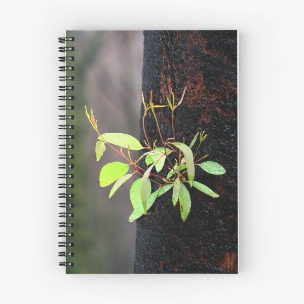 Item preview, Rejuvenation designed and sold by Australis.