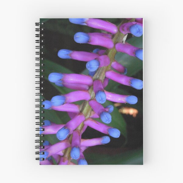 Item preview, bromeliad II designed and sold by Floralynne.